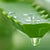 The Amazing Benefits of Aloe Vera