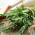 Benefits of Rosemary for Your Skin & Health
