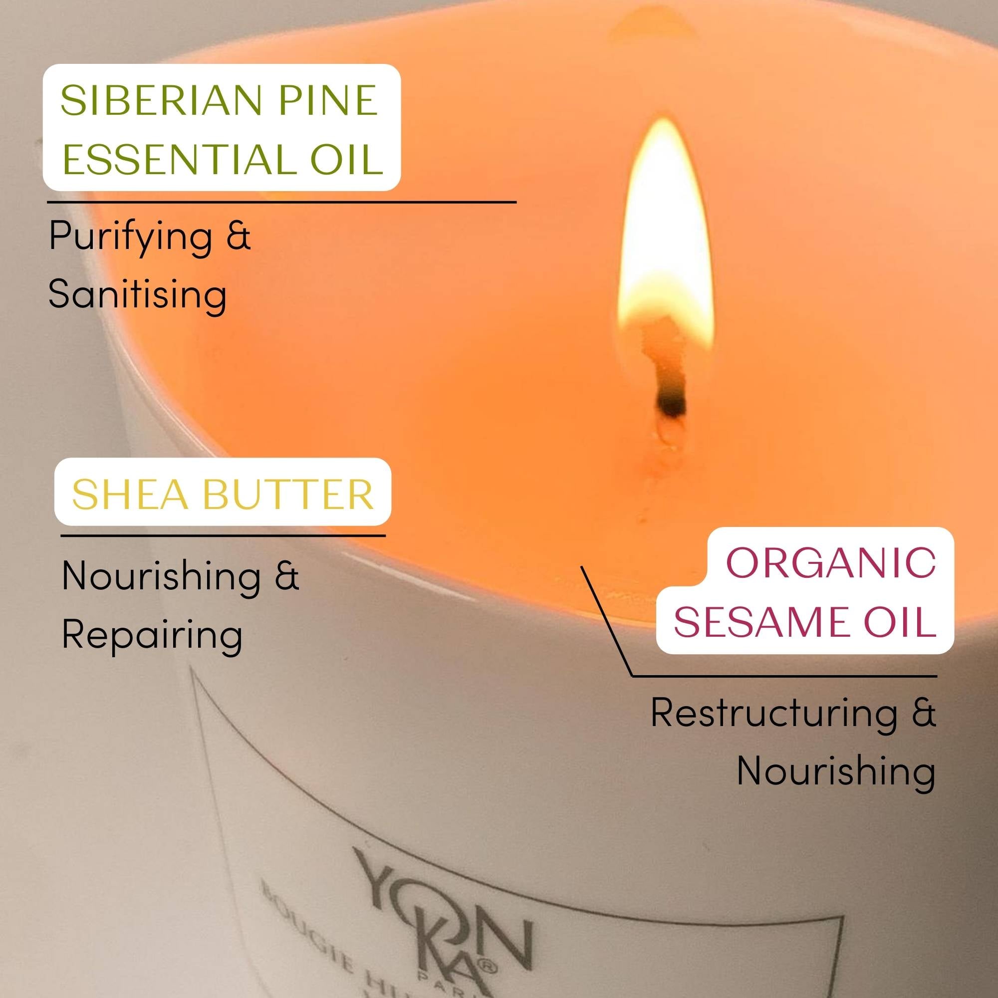 Taïga Massage Candle