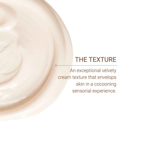 La Crème – Excellence Code
