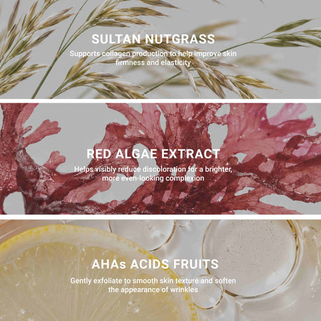 Le Masque – Excellence Code